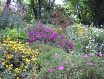 ‘ViVi il verde’, scopri i giardini emiliani
