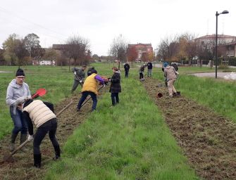 Forestazione urbana. In arrivo circa 3.000 nuove essenze in 4 parchi di Reggio