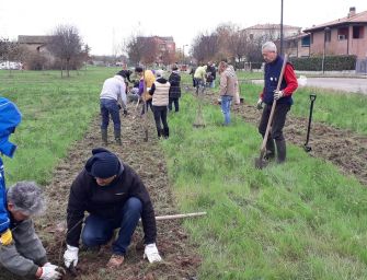 ‘Radici futuro’, in Emilia piantati 1mln di alberi