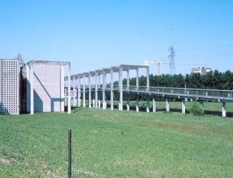 Parmigiano-Reggiano, previsti ricavi record nel 2019: 38,4 milioni