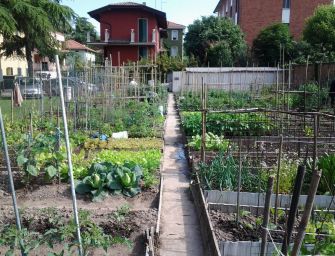 Reggio, assegnazione orti urbani: c’è ancora tempo per la domanda