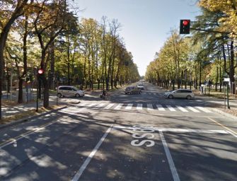 Reggio. Viale Umberto e Ducato Estense, ci saranno 47 alberi in più