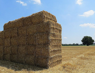 Agricoltura emiliana, 1,2 miliardi per sviluppo e svolta digitale