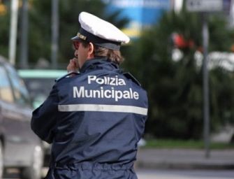 Modena. In via Morselli abbattuti 3 alberi a rischio caduta
