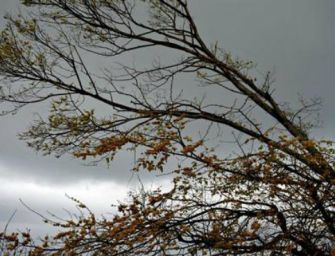 Emilia, allerta raffiche di vento forte sull’Appennino emiliano