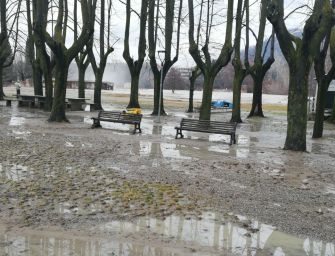 Coldiretti: ci sono danni per milioni di euro