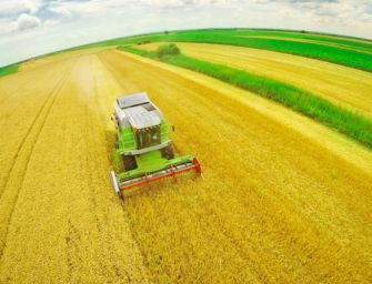 Mercato bio Ue vale 34 miliardi, Italia seconda per coltivazioni