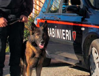 Carpi. Banda di ragazzini spacciava nelle scuole: denunciati 35 giovanissimi