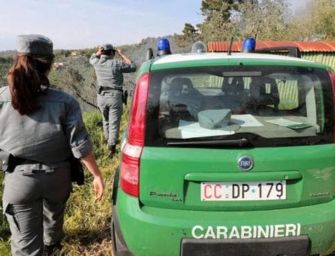 Fiorano, trovate ossa umane nel bosco