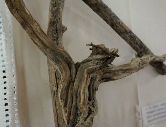 Ai Cappuccini di Reggio la Passione di Cristo