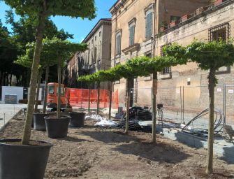 Reggio. Il verde in piazza Roversi