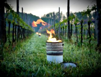 L’ennesima ondata di freddo e pioggia “può mettere in ginocchio l’agricoltura reggiana”