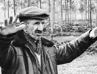 “Ligabue da Gualtieri a Bologna”. La mostra