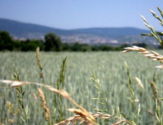 Ambiente, Emilia chiama il mondo a raccolta