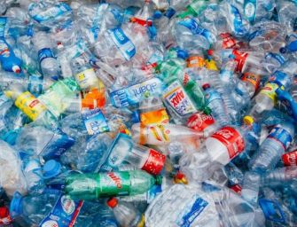 “Emilia sarà la prima regione plastic free”