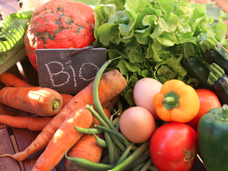 Agricoltura bio: 1,5mln dalla Regione | 24Emilia