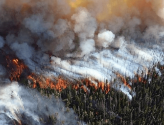 Centinaia di incendi, l’Artico brucia: è un disastro ambientale