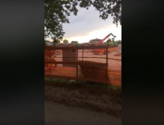 Video-Reggio, verde cancellato in via Luxemburg
