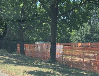 Reggio. Un altro supermercato: cantiere di via Luxemburg e querce. Intervenga l’assessore