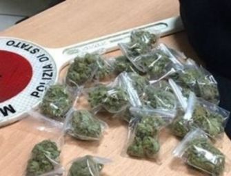 Reggio. In viaggio con 6 chili di marijuana nello zaino, 31enne arrestato appena sceso dal treno