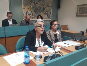 Affidi. “Allarme carenze da parte dei pediatri”