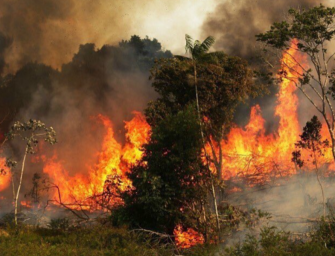 Brucia ancora la foresta amazzonica