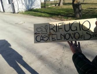 “In merito alla vicenda del Canile Madonna della Guadalupe”