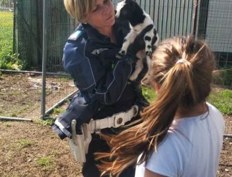 Caprette salvate da Modena lasciano città