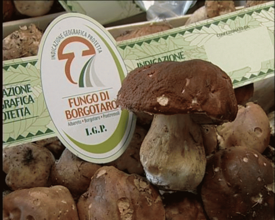 in festa per il porcino Igp 24Emilia