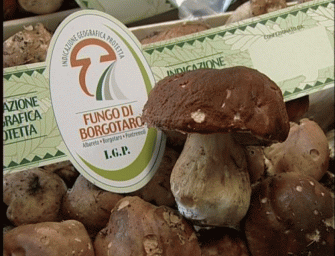 Borgotaro in festa per il porcino Igp