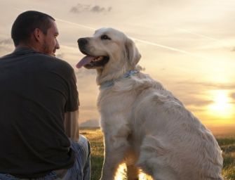 Cane e uomo, una relazione importante