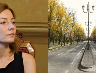 Bonvicini: stop abbattimenti in viale Umberto