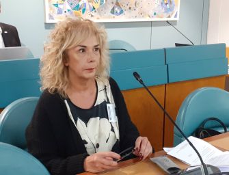 Affidi. In Commissione speciale: “Serve un difensore del bambino”