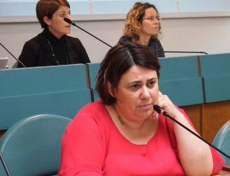 Cavriago. Cluster Villa Ilva, la sindaca