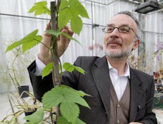 “La nazione delle piante”