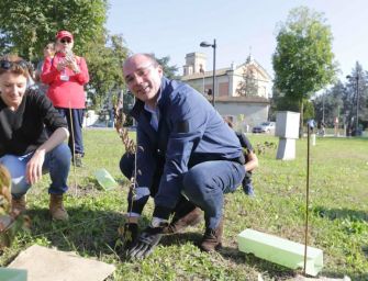 Piantumati 650 alberi a Pieve