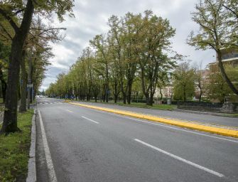 Reggio. Viale Umberto, Bonvicini ribadisce al Comitato: progetto già approvato, modifiche solo in corso d’opera