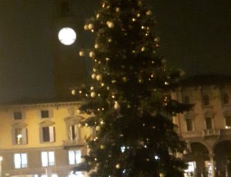 Reggio. In piazza del Duomo l’albero di Natale è già arrivato