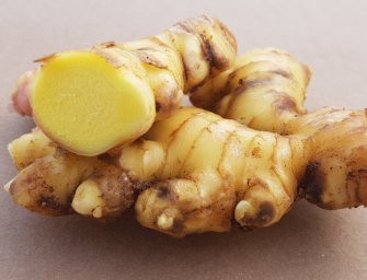 Nasce il Consorzio zenzero italiano