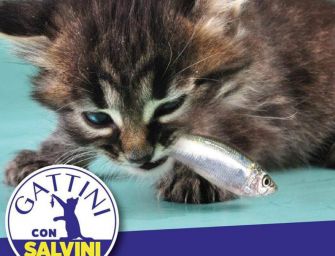 Salvini su Fb: ai vostri gattini piacciono sardine e pesciolini?