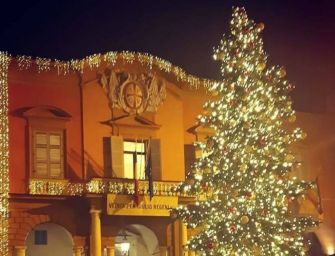 Reggio, acceso l’albero di Natale