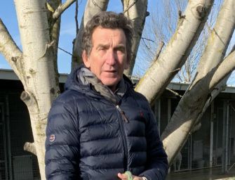 Castelnovo Sotto. Il medico veterinario Catellani morso da un cane