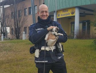 Si serve di un cucciolo di husky per la carità, ‘salvato dai vigili’