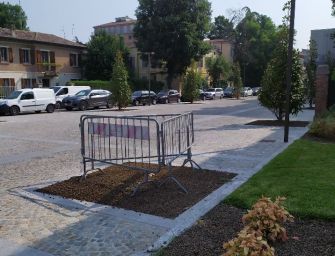 A Reggio diamo nome Kobe Bryant a un albero