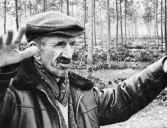 Una Reggio da cinema, esce il Ligabue di Giorgio Diritti