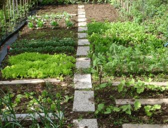 Regione: un orto nel cortile della scuola