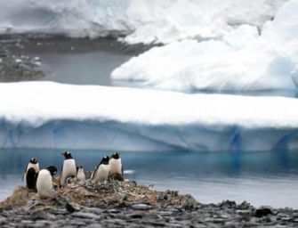 Caldo record in Antartide: 20,7°