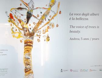 “Immagina un bosco”. Inaugura la mostra dei bimbi sulle vetrine del centro di Reggio