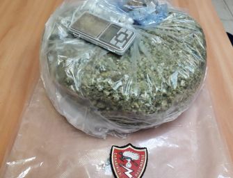 Reggio. Oltre un kg di droga nascosto davanti allo Spallanzani in viale Umberto