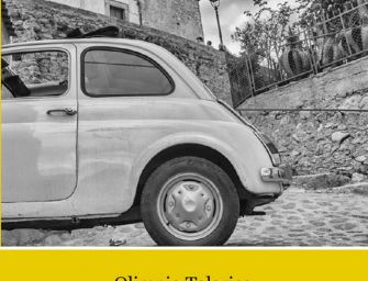 Il libro. “Cosa rimane dei nostri amori” corre per il Premio Strega